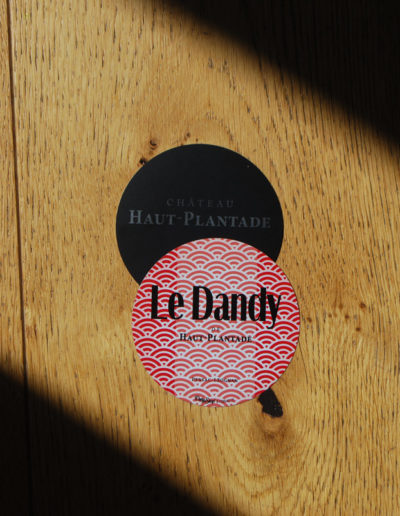Identité visuelle du Dandy par C'est d'Ici communication santé à Bordeaux