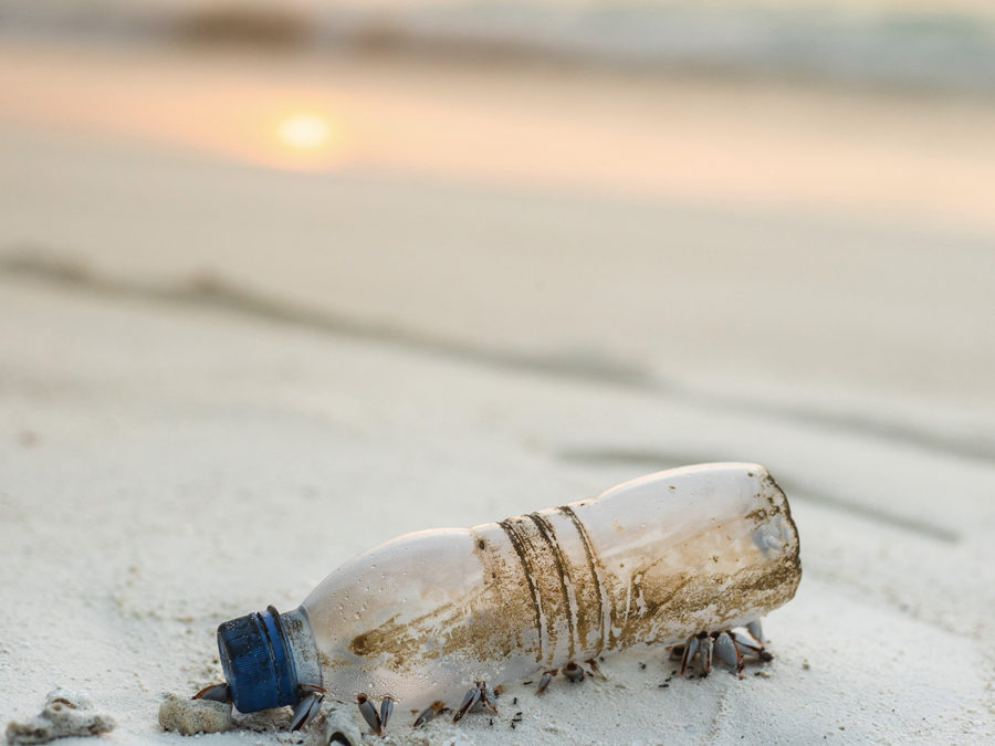 L'écologie un adage adopté par l'agence C10i solution de communication globale et santé à Bordeaux